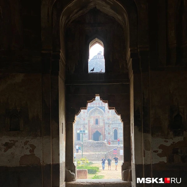 Источник: Лада Михайлович