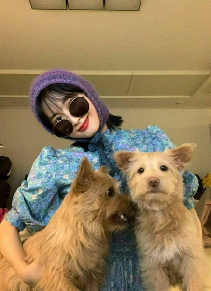 Источник: @momo