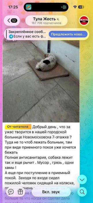 Пост от жительницы Новомосковска | Источник: Телеграм-канал «Тула Жесть»