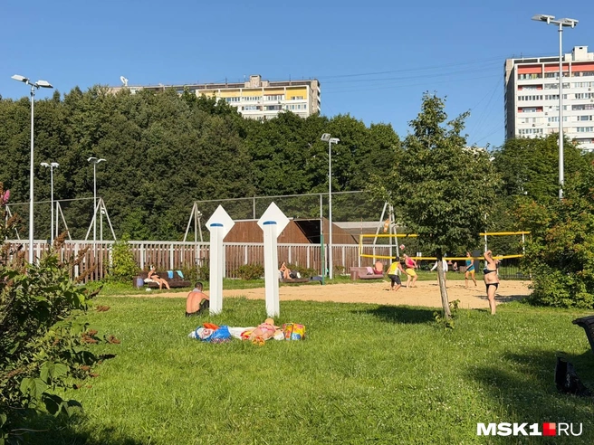Некоторые пришли поиграть в пляжный волейбол | Источник: Вера Борисова / MSK1.RU