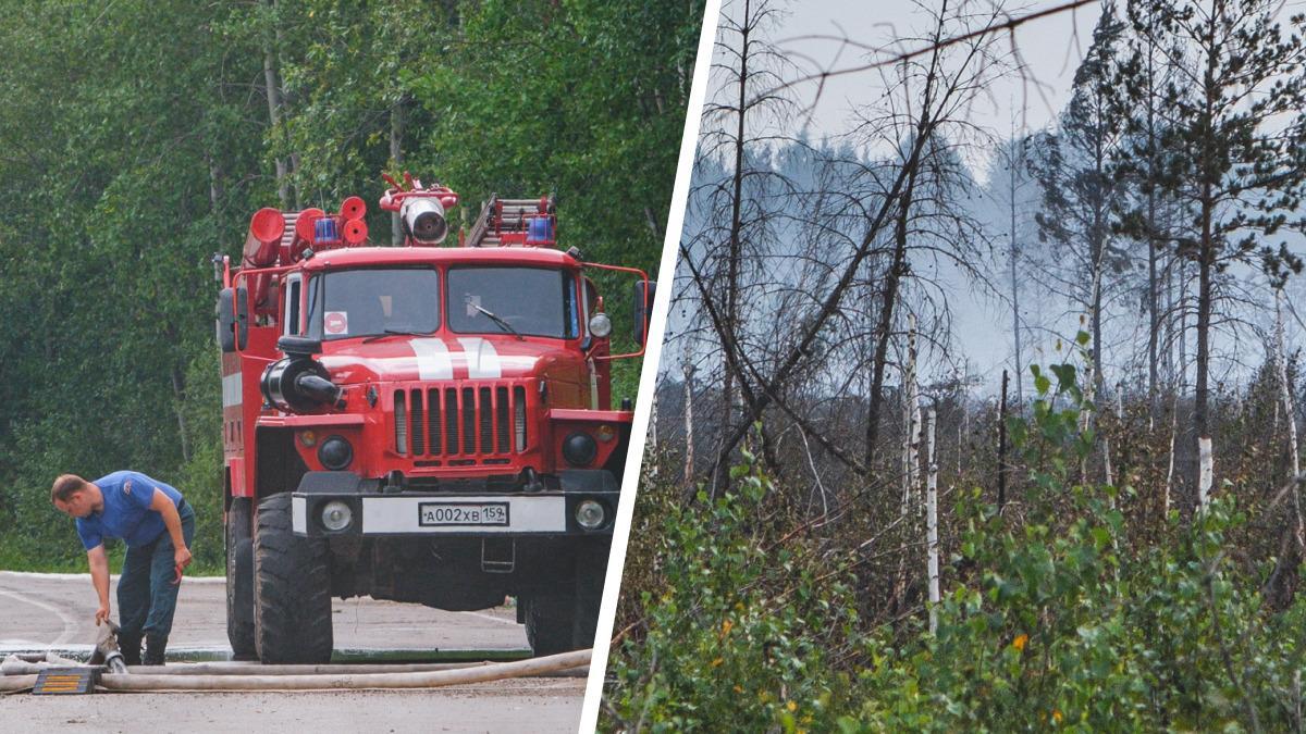 Фото лесного пожара под Краснокамском, горит лес под Краснокамском - 31  июля 2023 - 59.ру