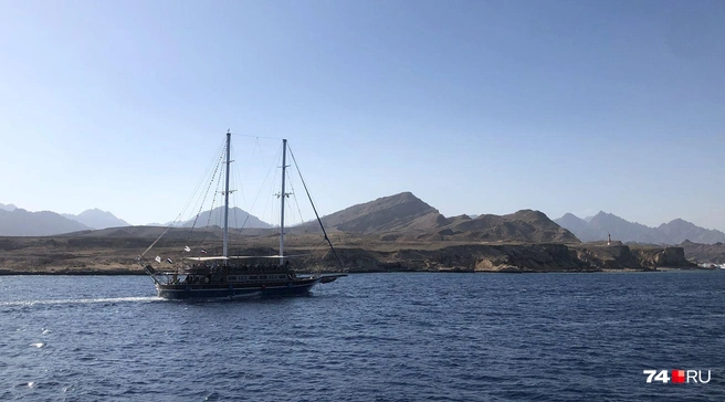 Красное море шикарно, особенно под водой | Источник: Артем Краснов