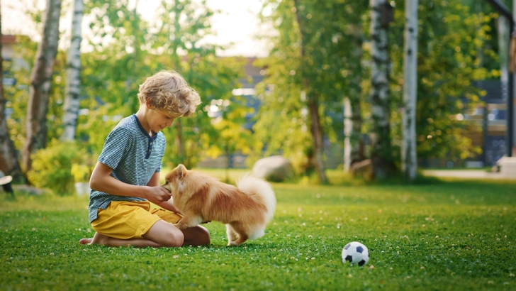 Источник: Shutterstock