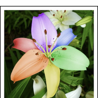 Аватарка Элизабет Сухорукова