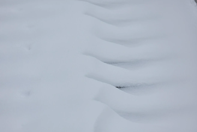 Шквалистый ветер и метель накрыли Заполярье | Источник: Александр Ощепков / NGS.RU
