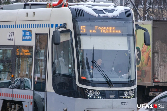 А тут пока все сонные | Источник: Булат Салихов / UFA1.RU