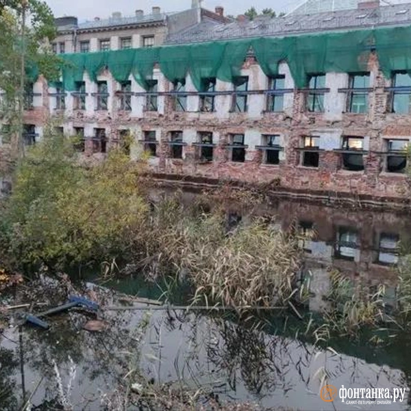 Источник: Павел Каравашкин / «Фонтанка.ру»