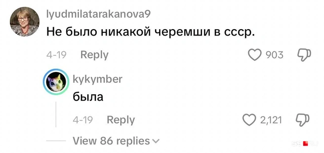 Разные поколения спорят в комментариях  | Источник: приложение TikTok