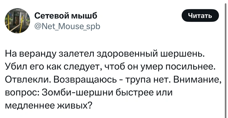 Источник: X (Twitter)