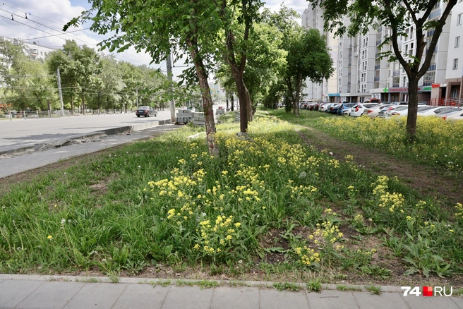 Здесь появится новая остановка | Источник: Наталья Лапцевич
