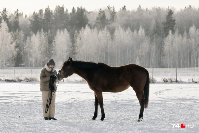 А вот и символ года&nbsp;— огненная лошадка | Источник: Наталья Лапцевич / 74.RU