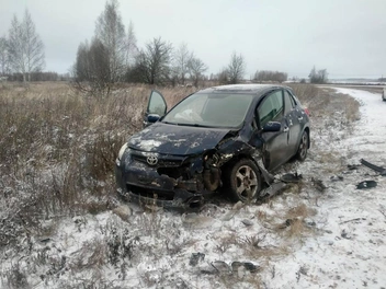 Источник: УМВД по Рязанской области