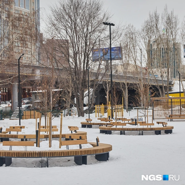 Существующие деревья, сообщали в мэрии, сохранили, а новые посадки вписали в естественный ландшафт | Источник: Александр Ощепков / NGS.RU