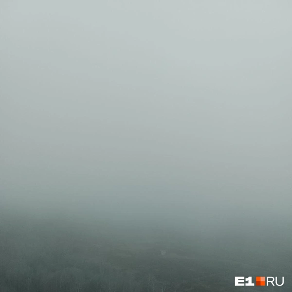 Источник: Читатель E1.RU