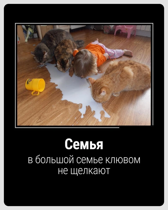Молодцы, делятся друг с другом | Источник: Городские медиа
