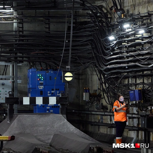 Источник: Дмитрий Толстошеев / MSK1.RU