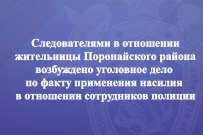 Жительница Поронайска напала на полицейских