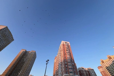 Более десятка БПЛА сбили над Ростовом и Азовским морем