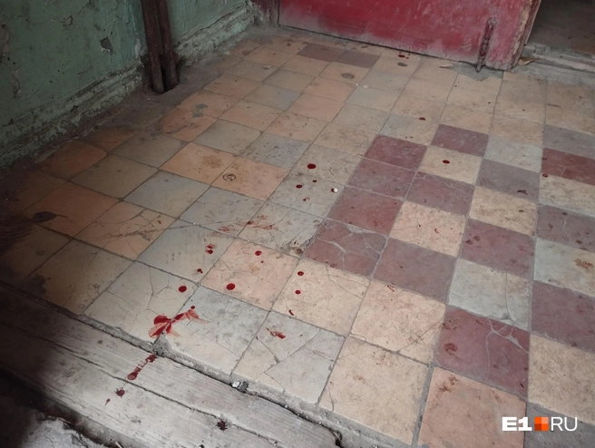 Весь подъезд в крови  | Источник: Кирилл Кушнов / E1.RU 