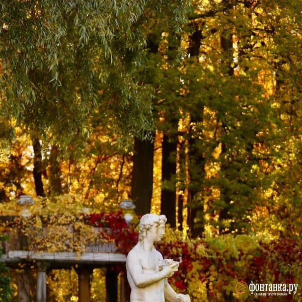 Источник: Лада Шаталова / читательница «Фонтанки»