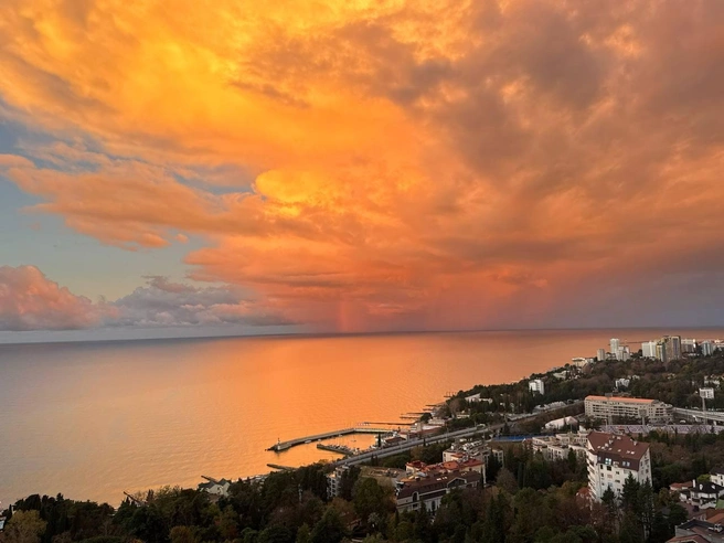 Кадрами поделился телеграм-канал Сочи Онлайн | Источник: Сочи Онлайн/telegram