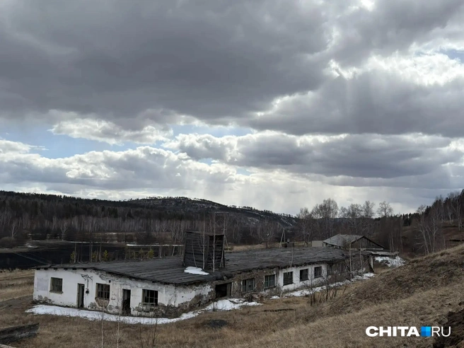Источник: Егор Захаров / CHITA.RU