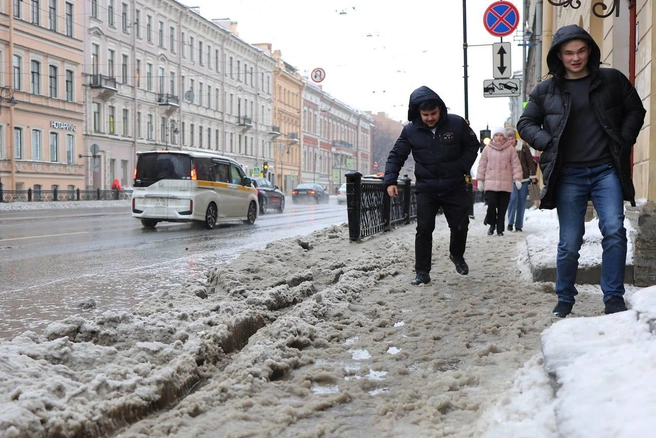 Оттепель обманчива? Синоптик предупредил, как весна встретит петербуржцев | Источник: Дарья Драй / FONTANKA.RU