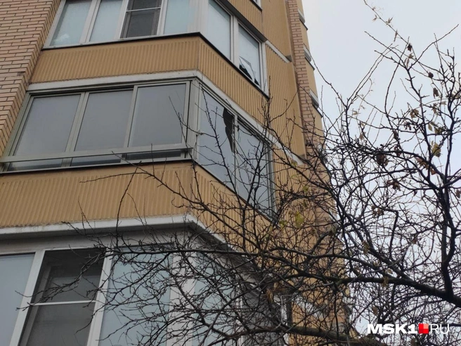 Источник: Михаил Мечев / MSK1.RU