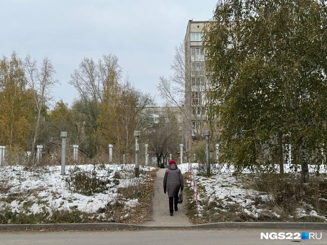 Район Докучаево кажется крайне неспешным | Источник: Полина Шевчукова / NGS22.RU