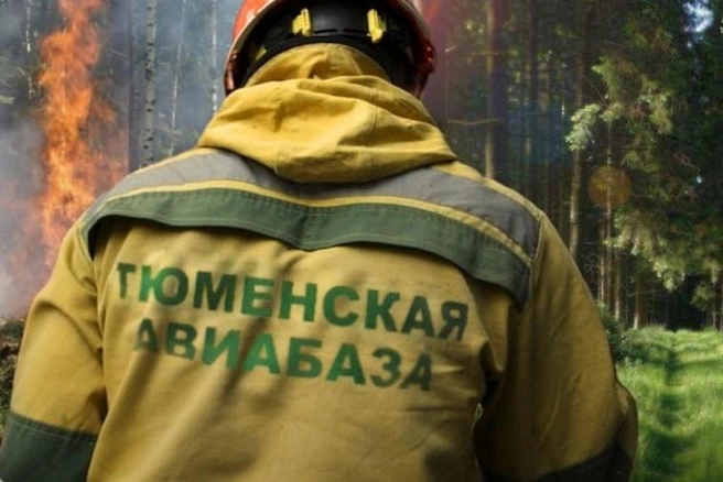 Тюменские ребята продолжают борьбу с огнем на четырех пожарах площадью свыше 4000 гектаров, еще 10 000 уже потушили | Источник: пресс-служба губернатора Тюменской области