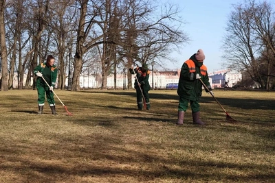 Петербург в апреле высадит свыше 3 тысяч деревьев