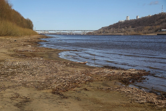 Обычно в этом месте по весне вода полностью покрывает берег | Источник: Наталья Бурухина / NN.RU