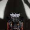 userpic__162227veL