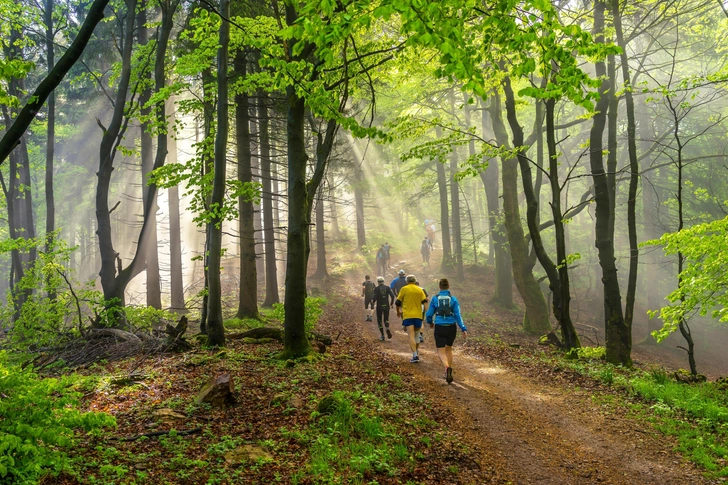 Источник: Shutterstock/Fotodom.ru