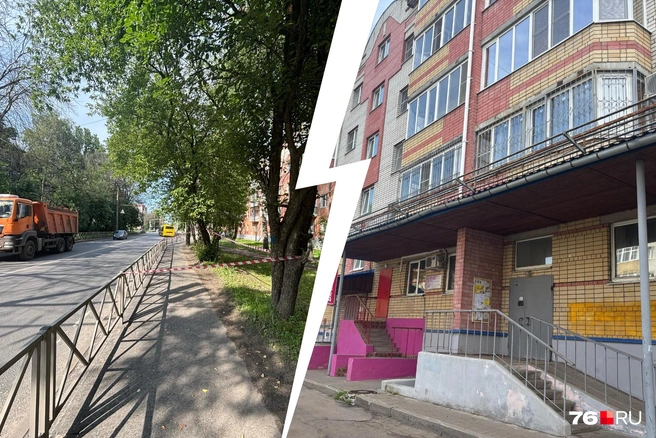 В Ярославле произошла драка с резней | Источник: Алина Сардекова / 76.RU