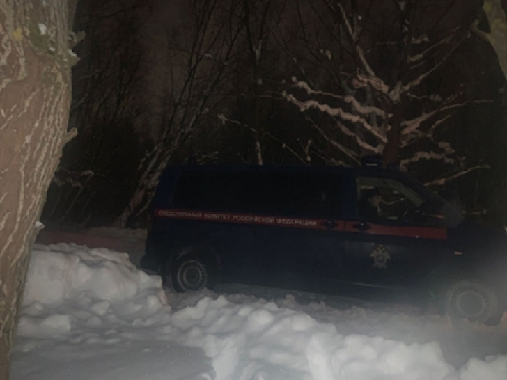 Фото №1 - Спрятал в лесополосе: в Новой Москве найдено тело участницы «Мисс Кузбасс»»
