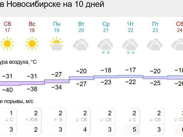 В воскресенье днем температура может подняться до -15°C | Источник: gismeteo.ru