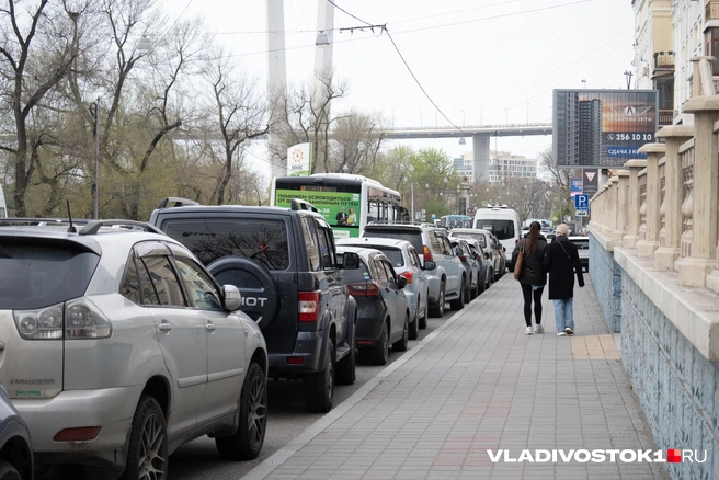 Источник: Елена Буйвол / VLADIVOSTOK1.RU