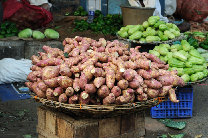 Сладкий картофель: почему во всем мире так популярен батат и в чем его польза