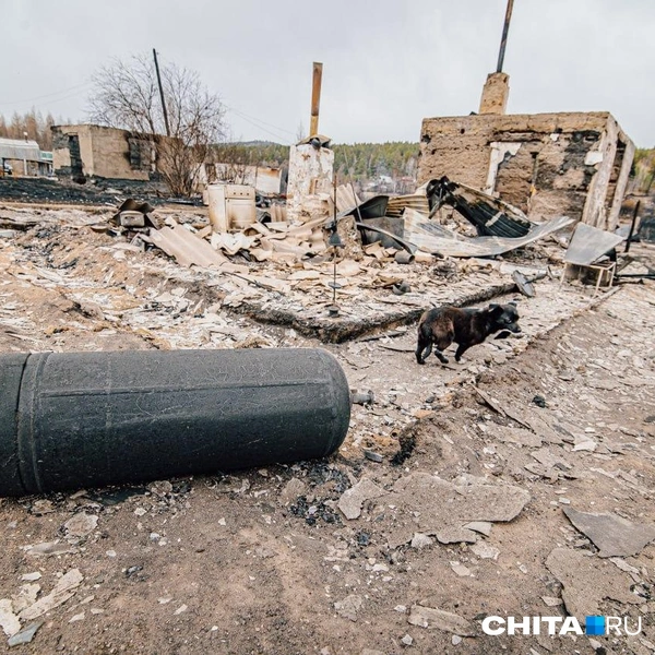 Источник: Олег Федоров / CHITA.RU