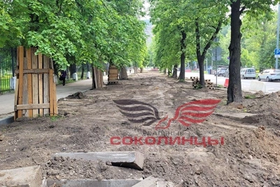 «Деньги некуда девать?»: москвичи о новом сезоне «бордюринга»