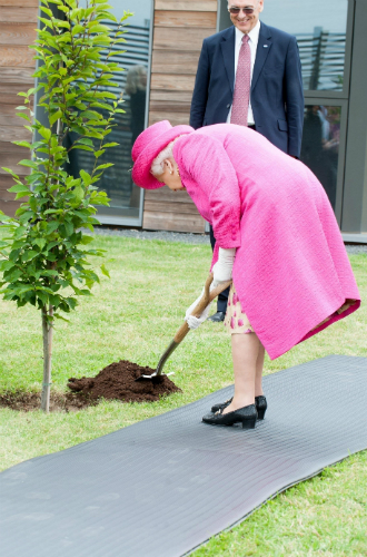 Королева посадила дерево в Кембридже (не обошлось без конфуза)