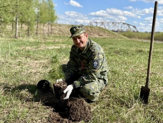 Источник: vologda.sledcom.ru