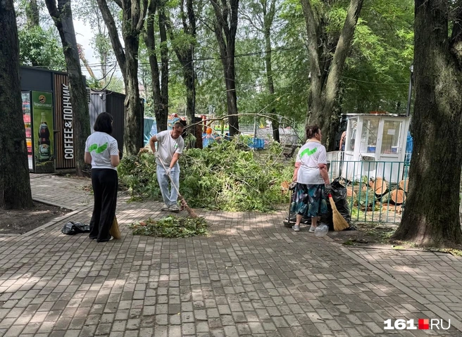 Источник: Марина Рыбалкина / 161.RU