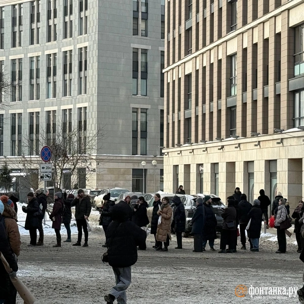 Источник: Константин Митягин / FONTANKA.RU