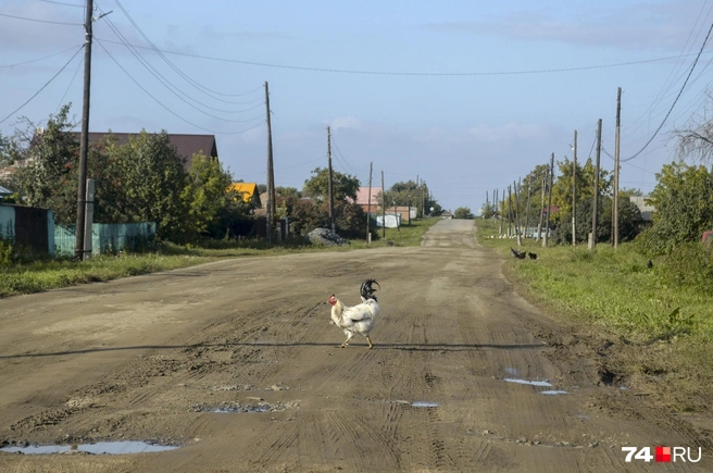 Каноничные деревеньки, если что, в наличии | Источник: Виталий Гущинский