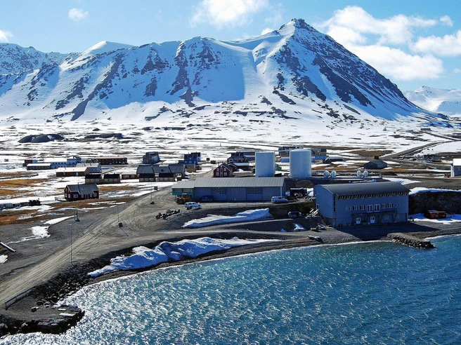 Кто живет севернее всех? | Источник: Harvey Barrison, CC BY-SA 2.0, via Wikimedia Commons