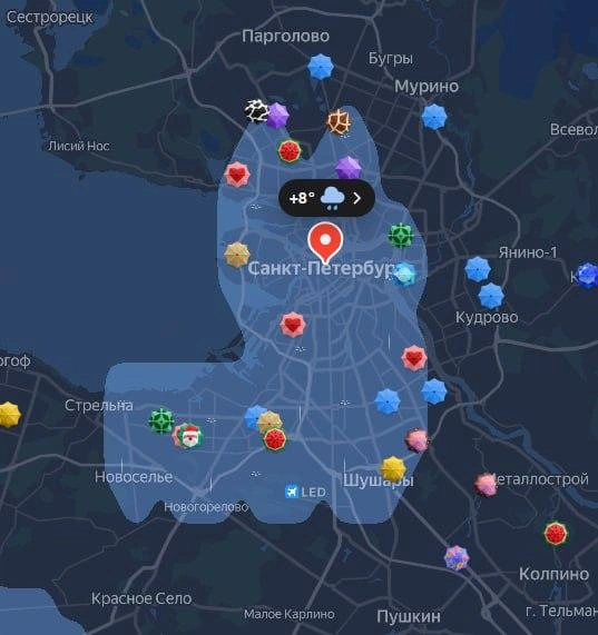 Только не смотрите вверх! Петербург накрыло котом | www.fontanka.ru