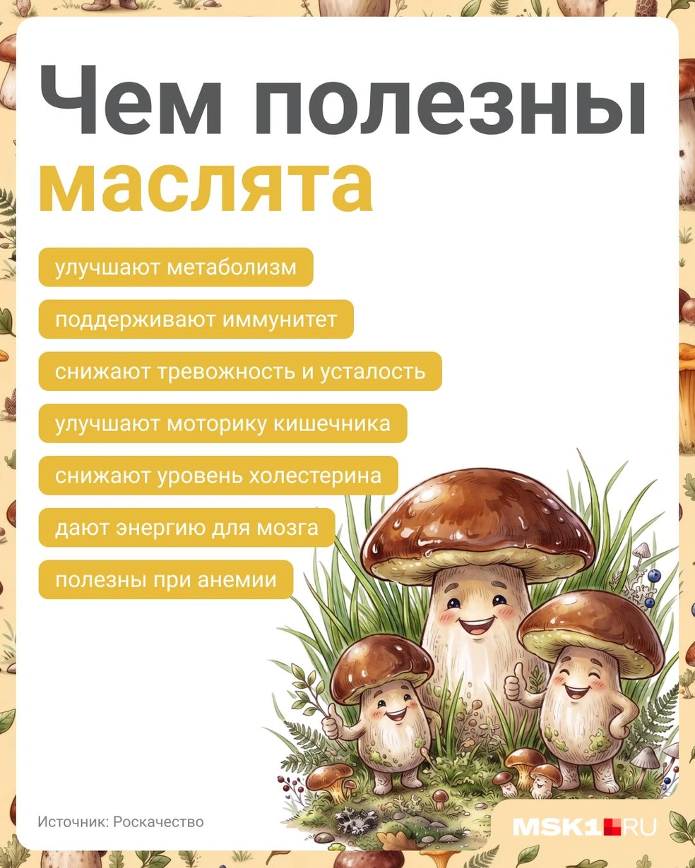 Маслята тоже могут сослужить вам службу | Источник: Полина Авдошина / Городские медиа