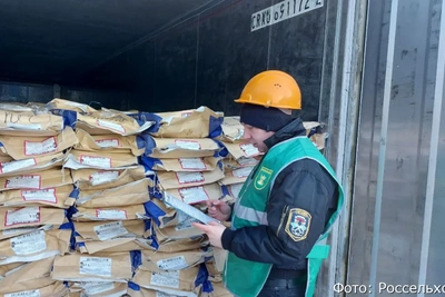 Камчатка поставила за рубеж свыше 20 тыс. тонн рыбы и муки